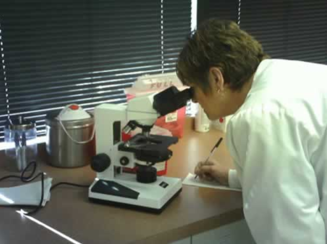 Scientist working with laboratory microscope